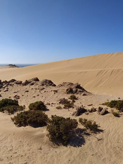 Mini sand dunes desert trip taghazout agadir imsouane morocco