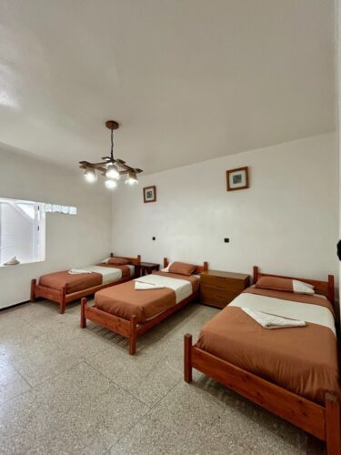 Standard 3-Bed Shared Room